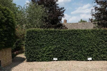 Two Rose Walk Cottage Cotswolds Moreton-in-Marsh 외부 사진