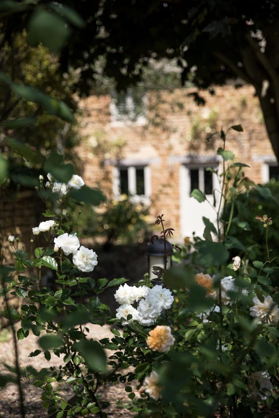 Two Rose Walk Cottage Cotswolds Moreton-in-Marsh 외부 사진